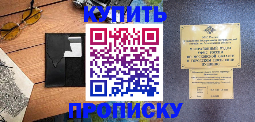 временная регистрация для всех в Никольском